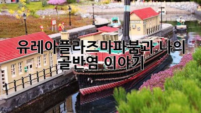 유레아플라즈마파붐과 나의 골반염 이야기
